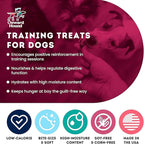 Onward Hound Training Treats for Dogs - Soft Bacon - Low Calorie Dog Training Treats for Sensitive Stomachs with Single Source Premium Protein, Corn Free, & Soy Free Formula - 4 oz