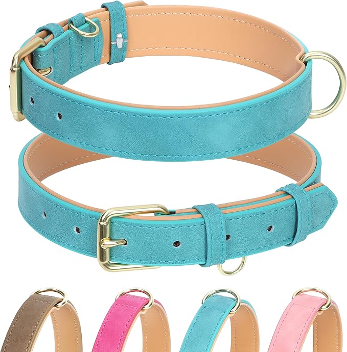 Leather Dog Collar for Small Medium Large Dogs, Soft Padded Dog Leather Collar with Heavy Duty Gold Buckle, Durable & Comfortable for Large Dogs Daily Walking (Teal, L)
