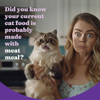 Halo Holistic Cage Free Chicken Cat Food, Healthy Grains Dry Cat Food, Complete Digestive Health, Kibble for Adult Cats, 3 lb Bag