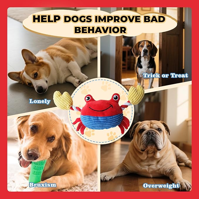 Squeak Plush Dog Toys for Small & Medium Breeds, Chew Rope to Keep Them Busy for Puppy Teething Chewing, Interactive Indoor/Outdoor Play, Best Pet Gift, Crab