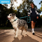 Nylon Dog Leash for Medium Large Dogs, 5-FTReflective Heavy Duty Leash with Comfortable Handle & Poop Bag Dispenser Ring, 1/2 Inch Wide, Secure Reinforcement for Walking(Blue, M)
