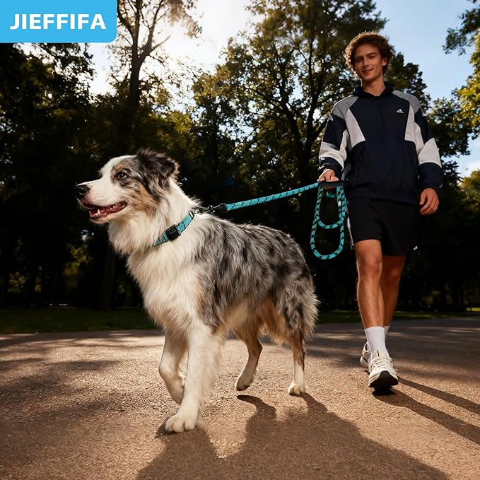 Nylon Dog Leash for Medium Large Dogs, 5-FTReflective Heavy Duty Leash with Comfortable Handle & Poop Bag Dispenser Ring, 1/2 Inch Wide, Secure Reinforcement for Walking (Blue, L)