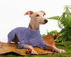 Dog Sweaters for Small Dogs Girls Boys, Striped Pet Sweaters for Fall Winter Dog Clothes, Turtleneck Pullover Knitwear for Small Medium Large Dogs