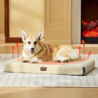 Bedsure Self Warming Dog Bed for Medium Dogs - Comfy Puppy Beds with Removable Washable Cover, Orthopedic Egg Crate Foam Pet Mat, Suitable for Pet Up to 30 lbs