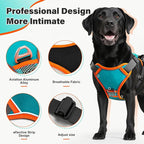 No Pull Dog Harness, 2 in 1 Retractable Harness with Auto-Lock, Reflective Breathable Mesh and Handle, Adjustable Leash Set for Small, Medium,Large Dogs,Cats (Color 1, XL)