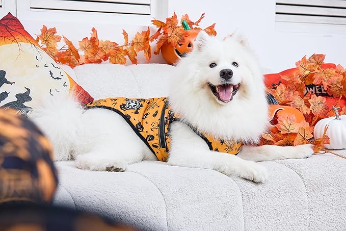 Aiboria Dog Jackets Windproof Outfit Coat Dog Vest Harness Puppy Warm Jacket Halloween Orange M
