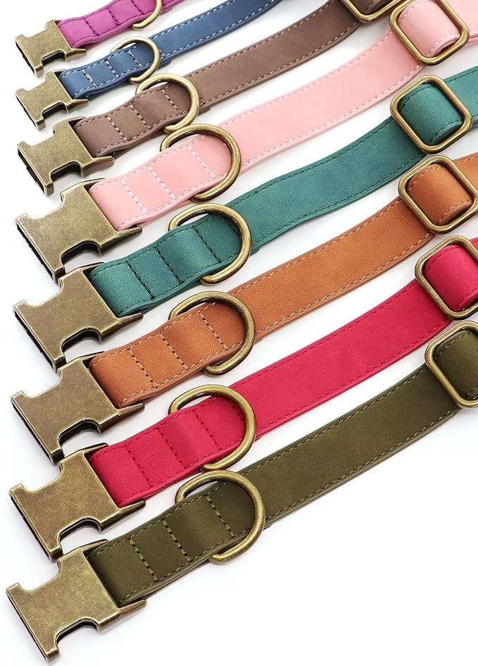 Didog Soft PU Leather Dog Collar, Stylish Quick Released Dog Collars for Medium Dogs, Easy Clean Adjustable Pet Collar for Daily Walking, Green, M Fit 13-21" Neck