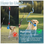 Flirt Pole for Dogs Interactive Dog Pole Toy for Large Medium Small Dogs, Dog Teaser Pole for Tug of War, Flirt Pole with Lure Ball (Standard&Extended Pole+Tensile Rope)