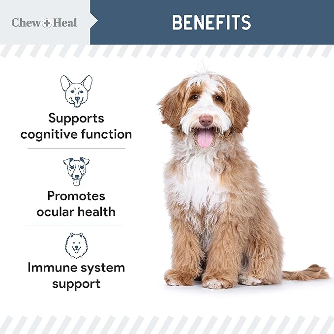 Senior Dog Vision and Cognition Chews - 120 Soft Chews for Dog Eye Care and Memory - 7-in-1 Multivitamin with Omega Fatty Acids, Vitamins, and Botanicals - Made in The USA