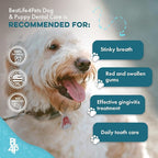 Dog Bad Breath & Dental Care Solution, Supports Canine Oral Health, Relieves Stinky Breath, Tooth Pain, Red Swollen Gums, Helps Reduce Plaque and Gingivitis, 400 Odorless, Tasteless Easy to Use Pills