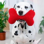 Playology Dog Toys | Plush Squeaky Bone Chew Toy for Dogs | Jumbo Beef Scented Toy - Easy to Clean and Made from Non Toxic Materials