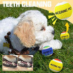X-Small Dog Tennis Balls Dog Toys Ball 1.5" Pack of 12, Fit Ball Launchers,Christmas Dog Toys,Christmas Dog Gifts