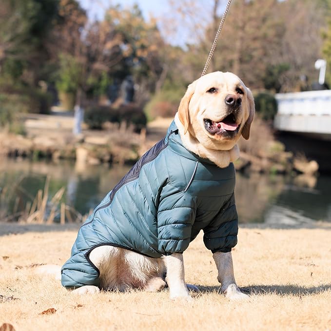 ArmyGreen Dog Jumper, Windproof, Reflective - Dirigible Winter Jacket for S, M, L - Zip, Adjustable Sizes