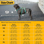 Huntboo Escape Proof Dog Harness, Escape Artist Harness, Fully Reflective Harness with Padded Handle, Breathable, Durable, Adjustable Vest for Small Dogs Walking, Training, and Running Gear (Teal,S)