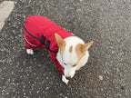 Dogs Waterproof Jacket, Lightweight Waterproof Jacket Reflective Safety Dog Raincoat Windproof Snow-Proof Dog Vest for Corgis Dachshund Small Medium Large Dogs Red D-M