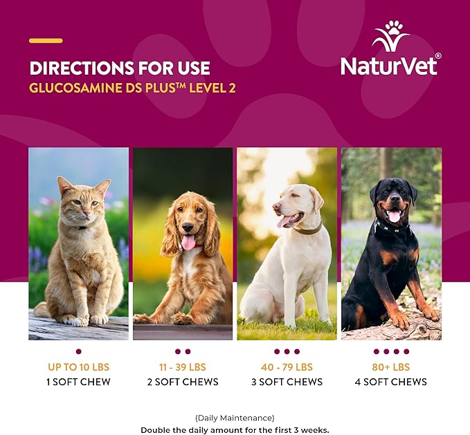 NaturVet – Glucosamine DS Plus - Level 2 Moderate Care – Supports Healthy Hip & Joint Function – Enhanced with Glucosamine, MSM & Chondroitin – for Dogs & Cats – 240 Soft Chews