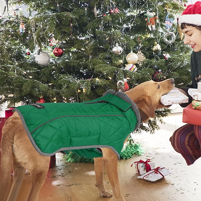 Fragralley Dog Coat Small, Waterproof Dog Jacket with Warm Fleece Lining, Adjustable Reflective Dogs Winter Coat, Turtleneck Pet Coats for Cold Weather (Green S)