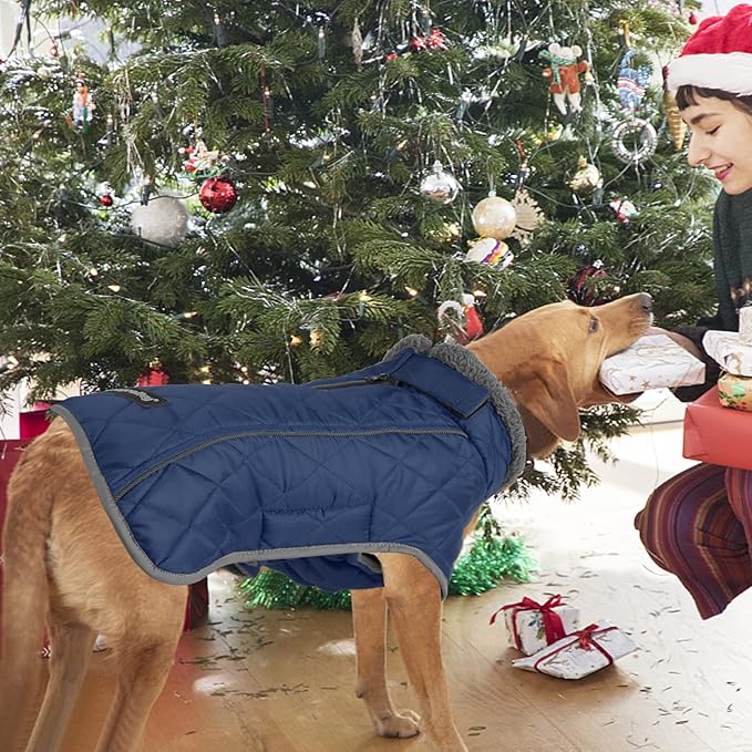 Fragralley Dog Coat Large, Waterproof Dog Jacket with Warm Fleece Lining, Adjustable Reflective Dogs Winter Coat, Turtleneck Pet Coats for Cold Weather (Blue XXXL)