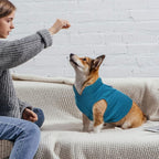 6 Pack Winter Dogs Sweater for Small Dogs Warm Clothes Fleece Vest with Leash Ring Sleeveless Dog Jacket for Little Medium Puppy Pet Unisex(Large,Bright Colors)
