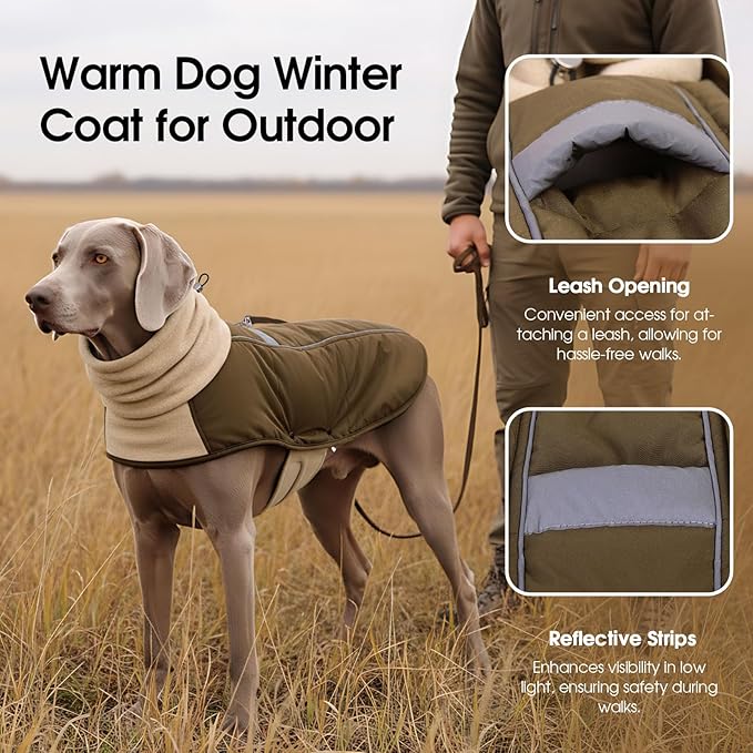 ASENKU Dog Coat, Dog Winter Jackets with Fleece Turtleneck, Windproof, Reflective Pet Snow Jacket for Cold Weather, Coats for Medium Dogs, Army Green, L