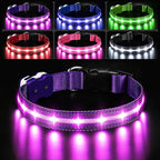 PcEoTllar Light Up Dog Collars, Led Dog Collar, Rechargeable, Night Walking, Waterproof, Glow in The Dark Dog Collars Light for Large Small Medium Dogs, Purple m