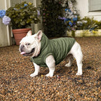 Fleece Lining Extra Warm Dog Hoodie in Winter for Large Dogs Jacket Pet Coats with Hooded Green XL