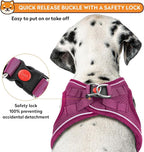 Dog Harness with Leash Set, No-Pull Step-in Reflective Pet Harness with 1 Leash Clips, Adjustable Soft Padded Easy Walk Dog Vest for Small Medium Large Dogs, Cats(Rose Red, Medium)