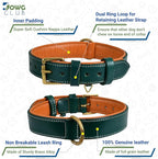 Genuine Leather Dog Collar | Full Grain, Heavy Duty, Comfortable, Padded, Strong | Best for Pups, Small, Medium, Large & XL Breeds (Large (Fit Neck Size 18.5"-22.5"), Teal Green)