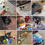 Nocciola 10 PCS Sushi Small Dog Toys to Keep Them Busy, Cute Stuffed Puppy Toys with Bag, Plush Dog Squeaky Toy for Small to Medium Dog, Doggie Birthday Gifts