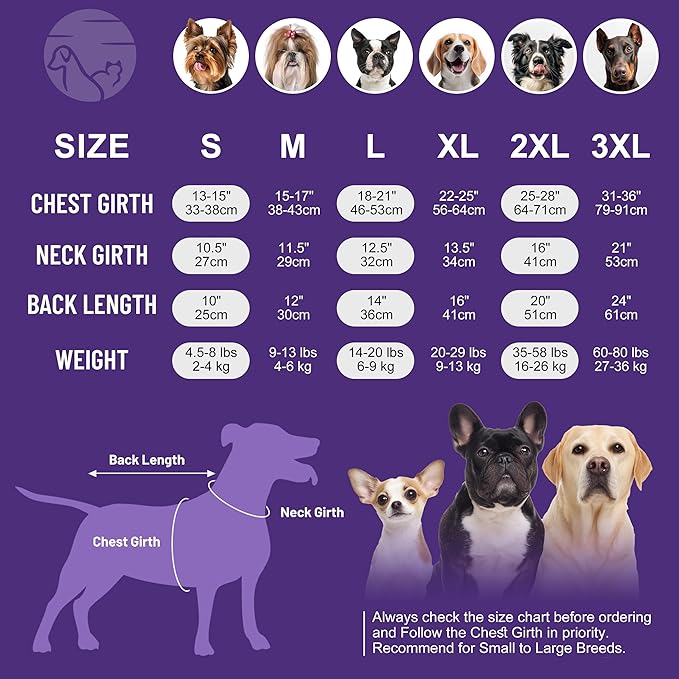cyeollo 2 Pack Fleece Dog Sweater Vest Dog Sweatshirt Reflective Lightweight Doggie Clothes for Small Dogs Girl Pet Apparel Pink, Fuschia, S