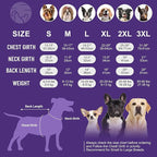 cyeollo 2 Pack Dog Sweater Stretchy Sweatshirt Lightweight Fleece Vest Reflective Jacket Dog Clothes Sweaters for Medium Dogs Boy Green & Grey