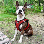 Best Pet Supplies - All Weather Mesh / Plush, Reflective, No Pull Harness for Small, Medium Dogs, Cats - Secure with Hook & Loop Fastener, Buckle, Double D-Rings - Red Plush, XS