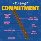 etta says! Flavor Fusion Natural Dog Chews, Variety Pack - Made in The USA - Delicious, Rawhide-Free Treats for Dogs - Supports Dental Hygiene - Contains 6 Flavors - 12 Pack