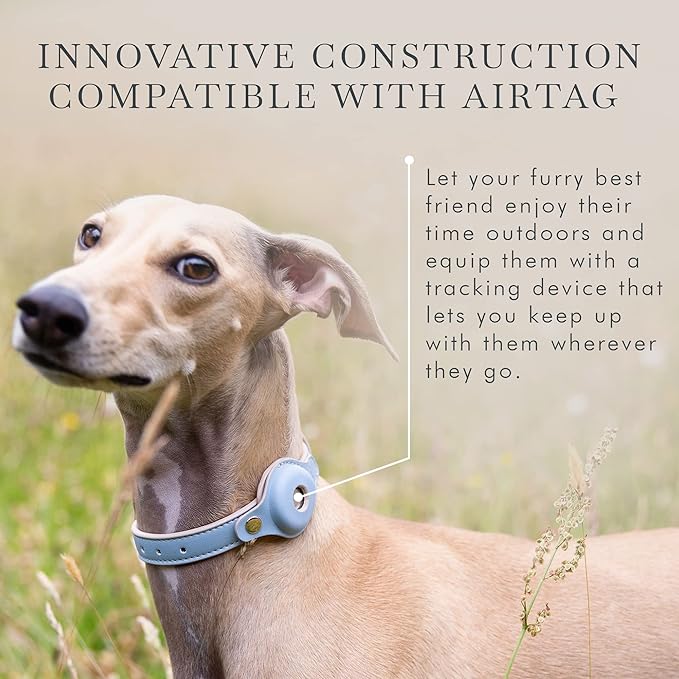 NINA WOOF Cupertino Dog Collars, Harnesses & Leashes Made from Vegan Leather with Dog Tracker Device Holder Adjustable Dog Collar (Small, Blue)