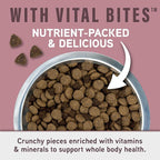 Natural Balance Specialized Nutrition Dry Dog Food with Salmon and Oatmeal for Dogs, Sensitive Skin & Stomach Dog Food, Natural Ingredients with Added Vitamins & Minerals - 3.5 lbs