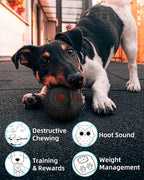 Giggle Ball for Dogs Owl Dog Toys for Aggressive Chewers Gift for Dog Natural Rubber Ball Cute Owl Hoot Medium Large Dog (Demon)