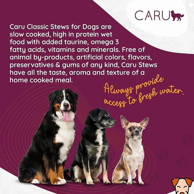 Caru - Real Pork Stew for Dogs, Natural Adult Wet Dog Food with Added Vitamins & Minerals, Free From Grain, Wheat & Gluten (Pack of 12)