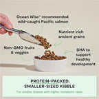 Open Farm, Ancient Grains Dry Dog Food for Puppies, Protein-Rich & Nutrient Dense, 90% Animal Protein Mixed with Non-GMO Fruits, Veggies and Superfoods, Salmon Recipe for Puppy, 22lb Bag
