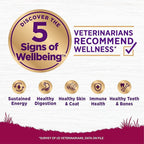 Wellness Complete Health Small Breed Dry Dog Food With Grains, Made In USA with Real Turkey and Natural Ingredients, For Dogs Up To 25 lbs, Healthy Weight, 12 Pound Bag