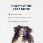 JustFoodForDogs Single-Ingredient Healthy Dog Treats, Beef Brisket, Made in The USA, 5 oz