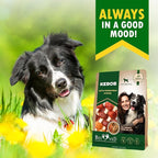Beloved Pets Dog Treats Rawhide-Free Kabobs with Duck & Chicken Human Grade Meat 10.6 oz - All Natural Pet Dried Snacks & Grain Free Long Lasting Chews for Large & Small Dogs - Supports Healthy Teeth