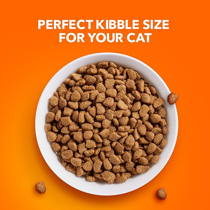 IAMS Proactive Health Indoor Weight Control & Hairball Care Adult Dry Cat Food, Salmon Recipe, 7 lb. Bag