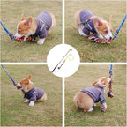 DIBBATU Flirt Pole for Dogs Interactive Dog Toys for Large Medium Small Dogs Chase and Tug of War, Dog Teaser Wand with Lure Chewing Toy for Dog Outdoor Exercise & Training