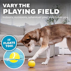 Outward Hound by Planet Dog Sport Ballz Tennis Ball Treat-Dispensing Fetch Ball Dog Toy
