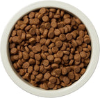 Amazon Brand - Wag Dry Dog Food Grain-Free Chicken & Lentil Recipe, High Protein (24 lb bag)