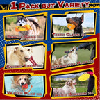 Zeaxuie 12 Pack Heavy Duty Various Dog Chew Toys Pack for Aggressive Chewers - Includes Large Rope Toys, Squeaky Toys & Indestructible Chew Bone for Medium, Large & X-Large Dogs (for Powerful Chewers)