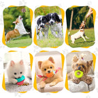 KIPRITII Puppy Teething Chew Toys -25 Pack Dog Chew Toys with Rope Toys, Dog Treat Balls & Squeaky Toy for Puppy and Small Dogs