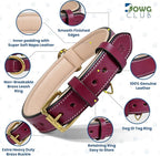 Leather Dog Collar - Pink, Medium - Handcrafted, Soft Padded Collar with Brass Buckle, Stylish & Durable (Medium (Fit Neck Size 14.5"-18.5"), Dark Pink)