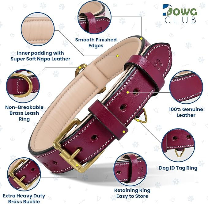 Genuine Leather Dog Collar | Full Grain, Heavy Duty, Comfortable, Padded, Strong | Best for Pups, Small, Medium, Large & XL Breeds (Small (Fit Neck Size 11.5"-14.5"), Dark Pink)