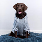 Tuff Pupper Dog Hoodie | Premium Quality 100% Organic Cotton | Ultra Soft Interior for Superior Comfort | Elastic Cuffs & Drawstring for Warmth | Stretch Fit Suitable for All Breeds (Gray, XXL)